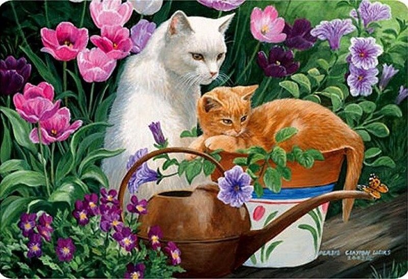 White Cat and Orange Kitten