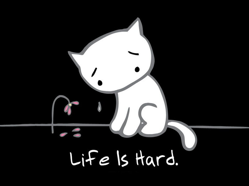 White Cat Crying