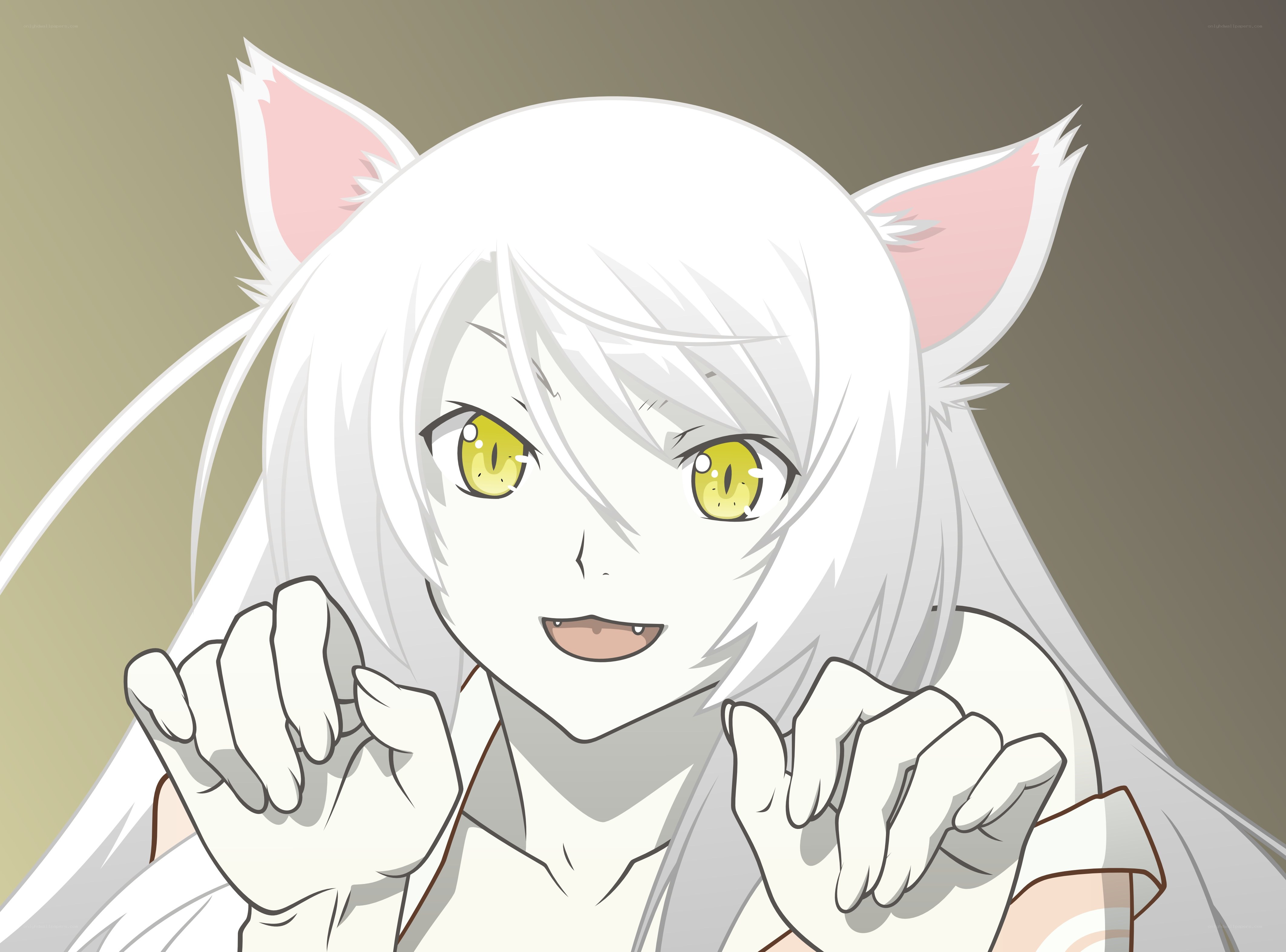 white cat-eared anime character