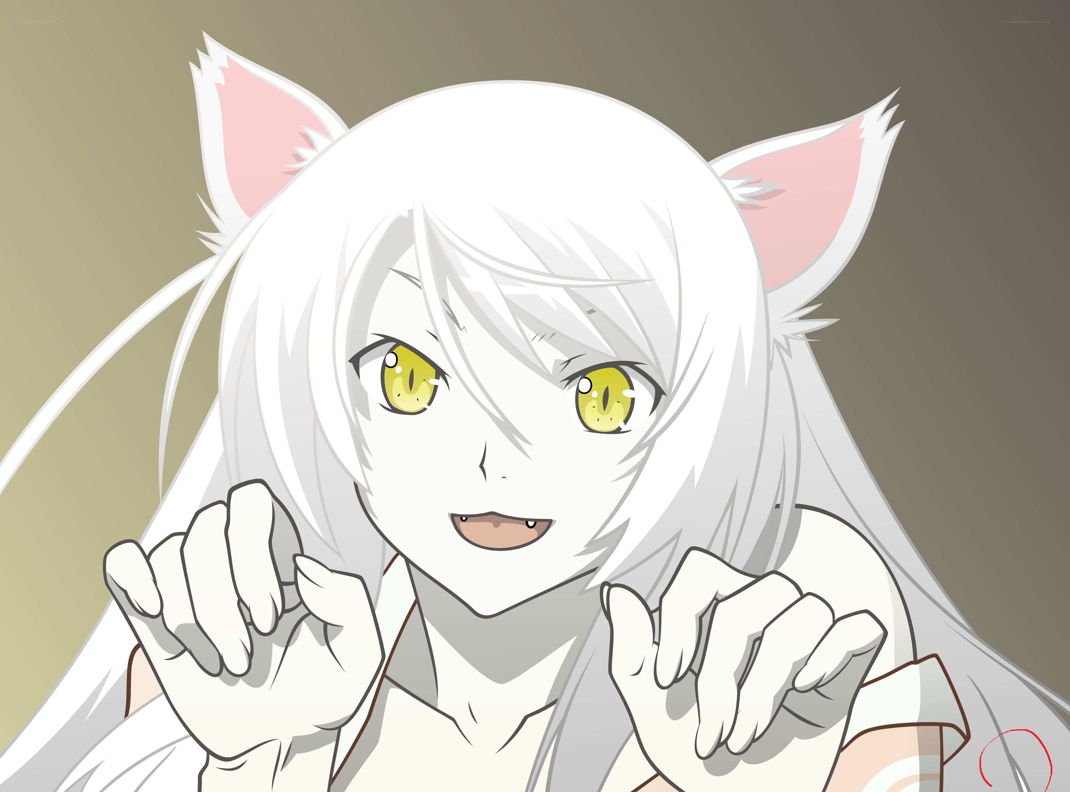 white cat-eared anime character