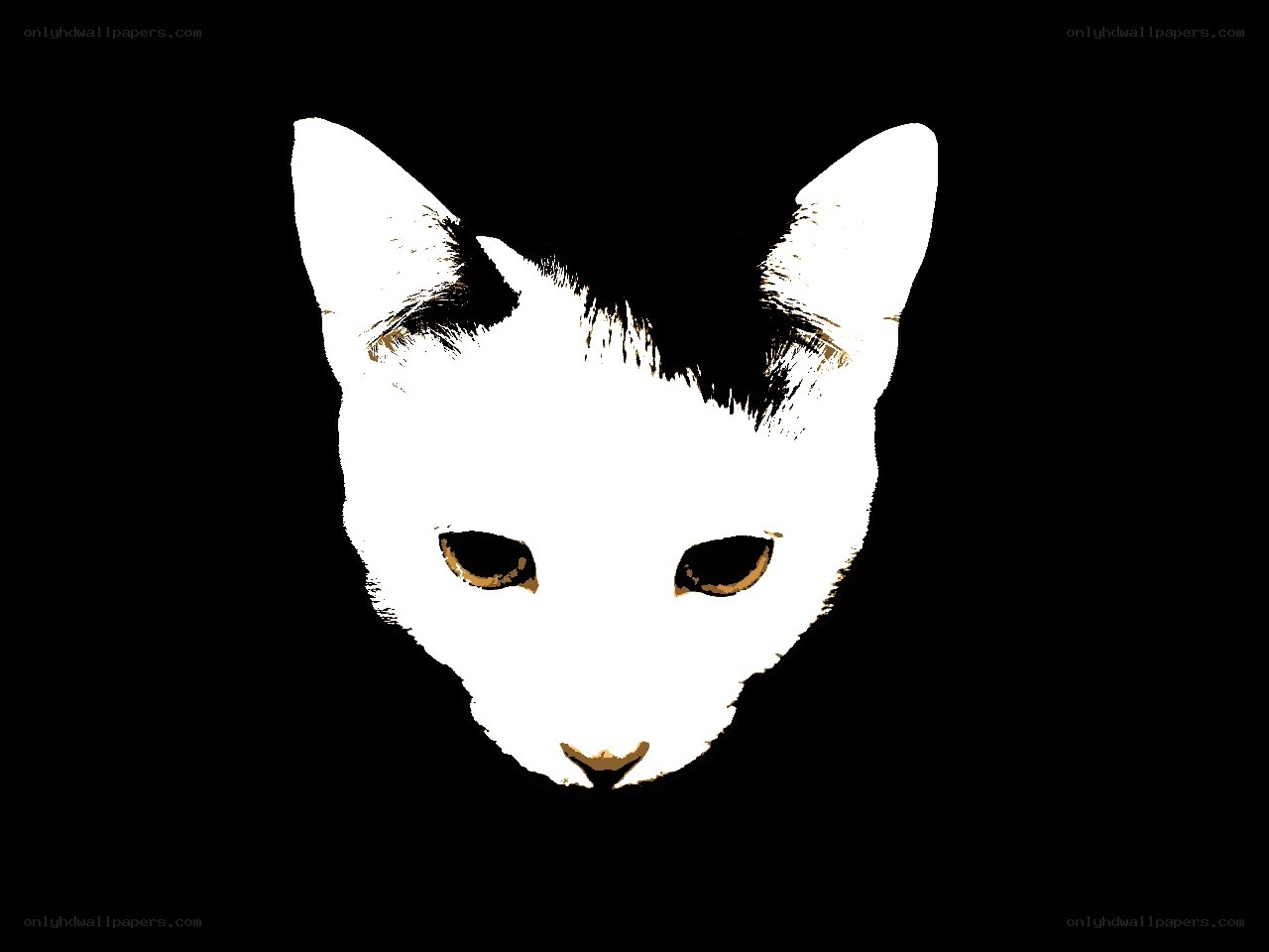 white cat face illustration
