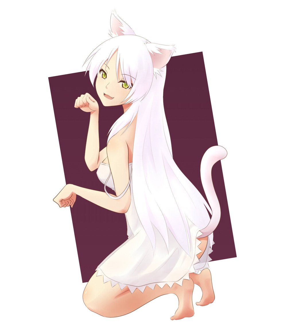 white cat girl character