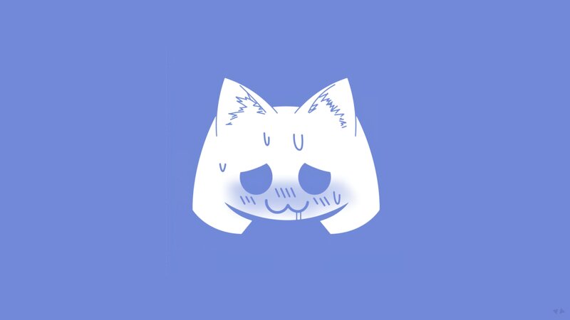 White Cat Head