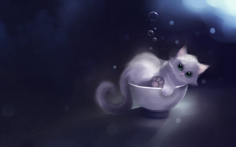 White Cat in a Bowl — Purple