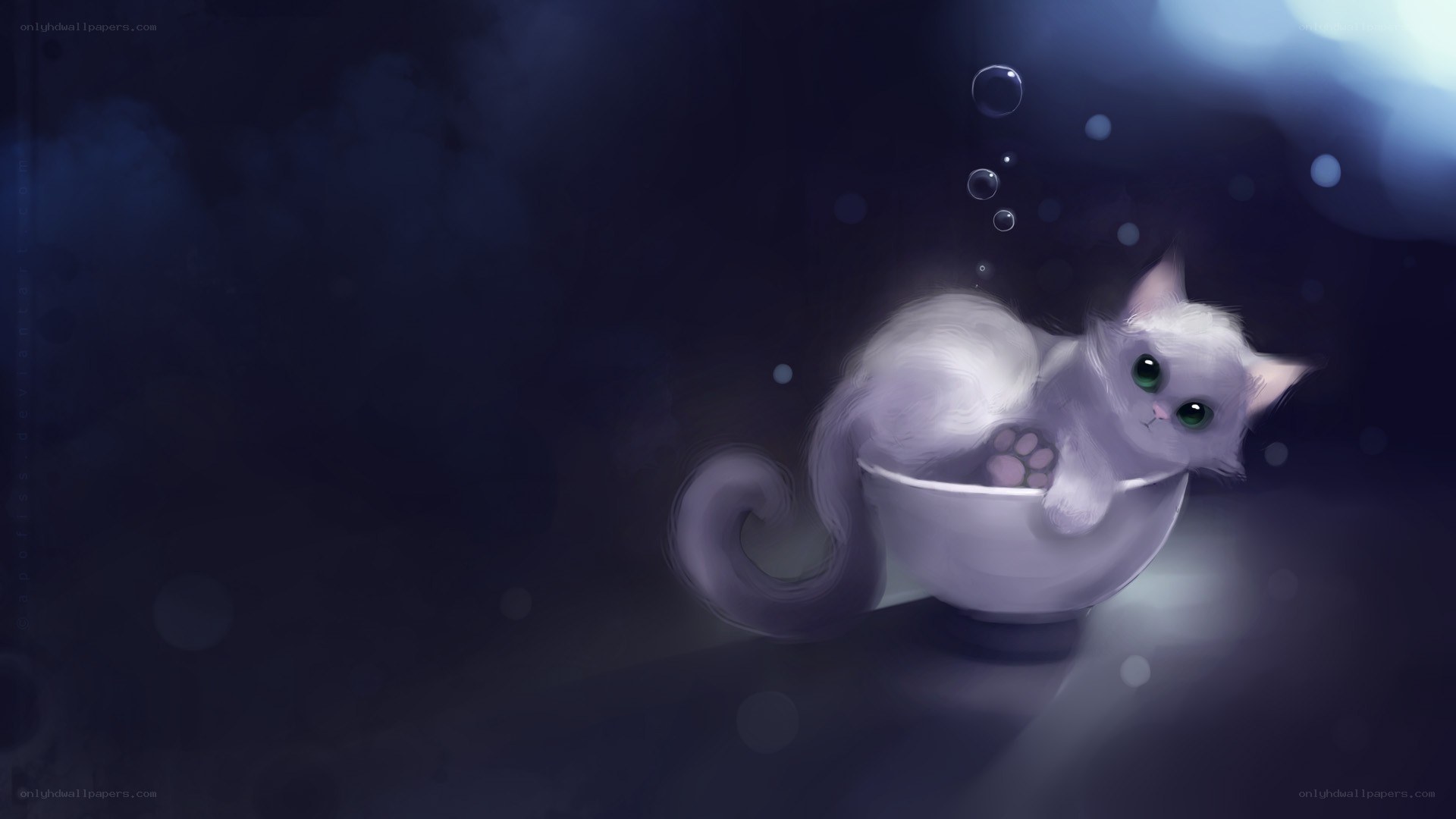 white cat in a bowl