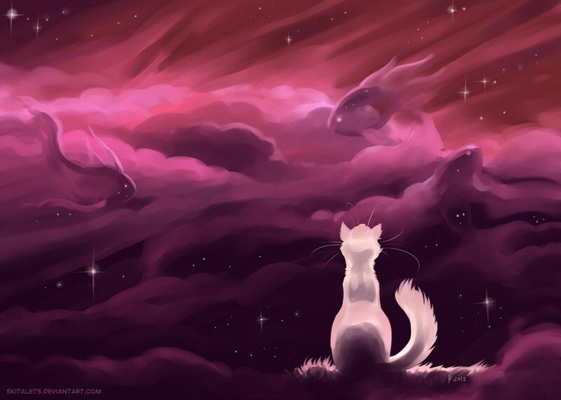 white cat in a starry sky