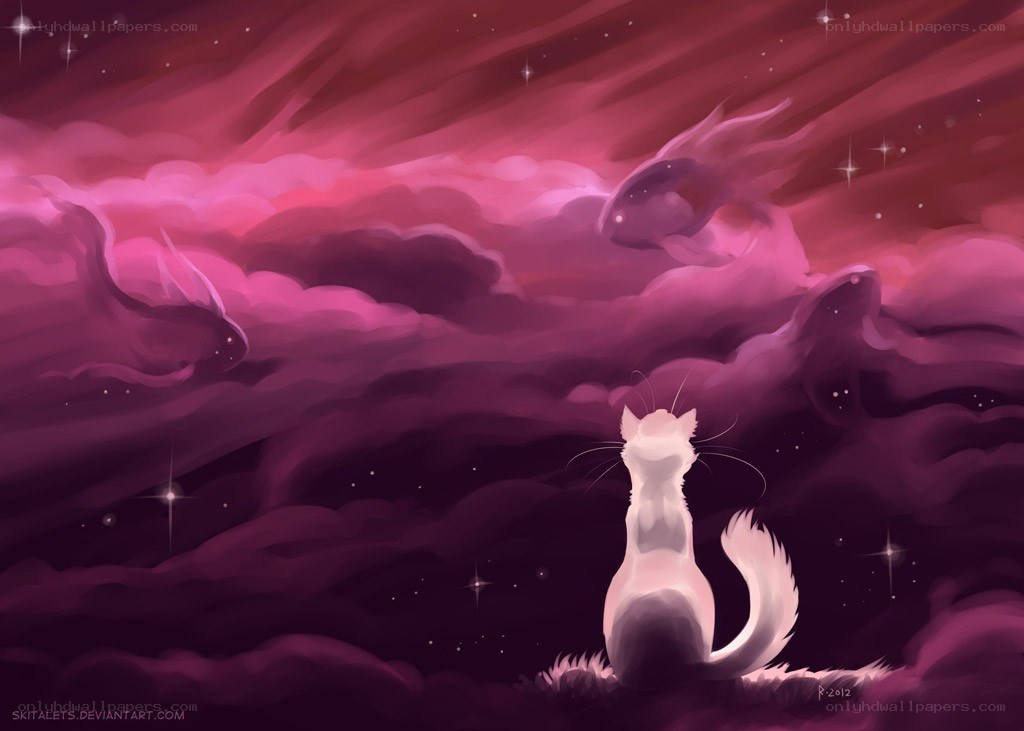 white cat in a starry sky