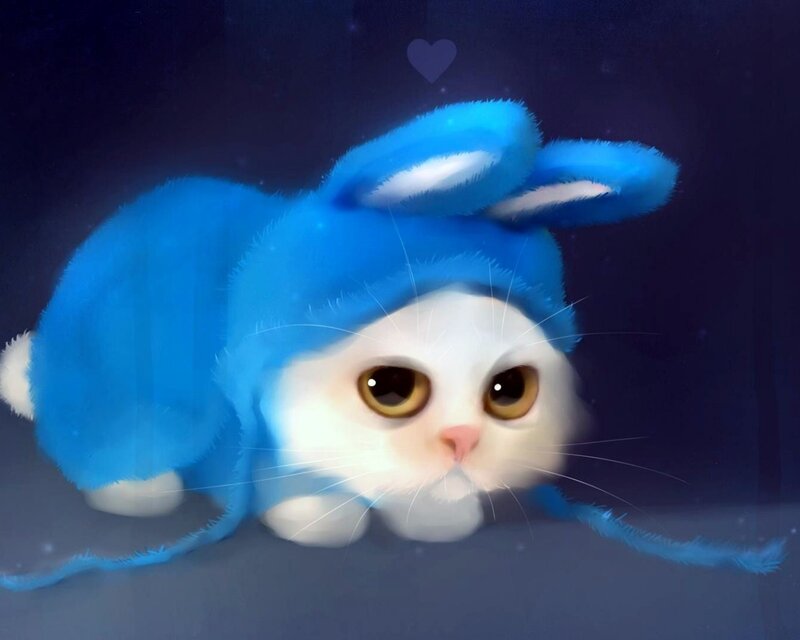 White Cat in Blue Hat — Calm, Night
