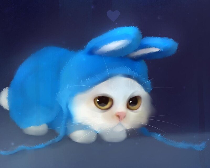 White Cat in Blue Hat — Calm