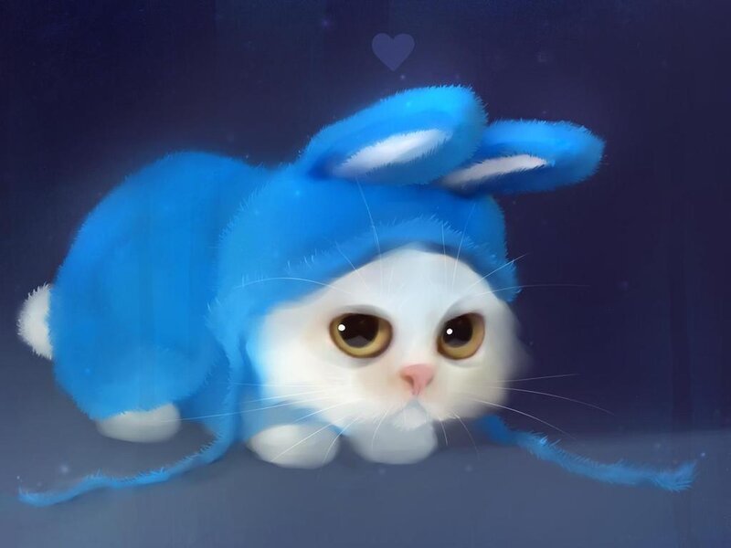 White Cat in Blue Hat