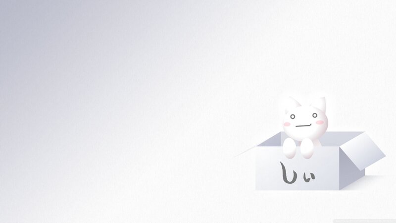 White Cat in Box — Calm, 3d Render
