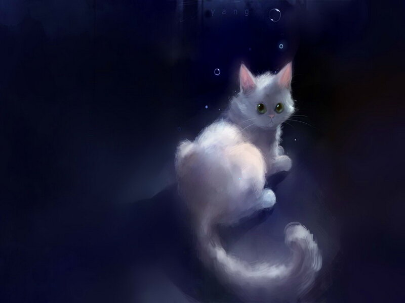 White Cat in Dark Space — Serene