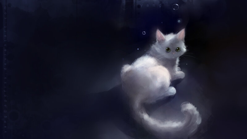 White Cat in Dark Space
