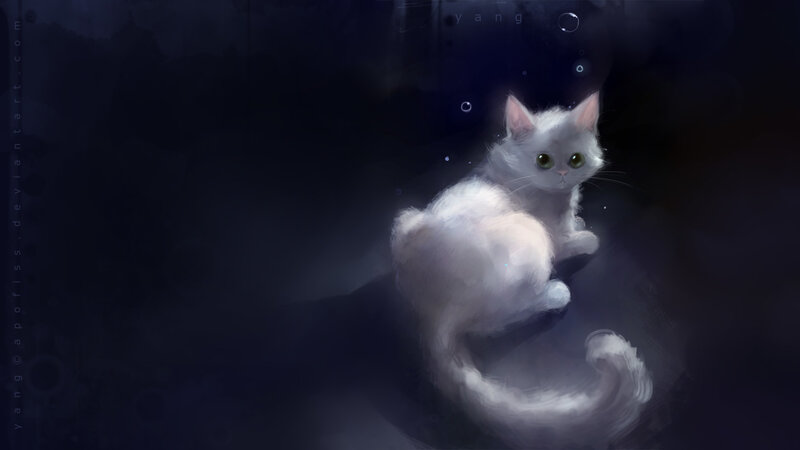 white cat in dark water