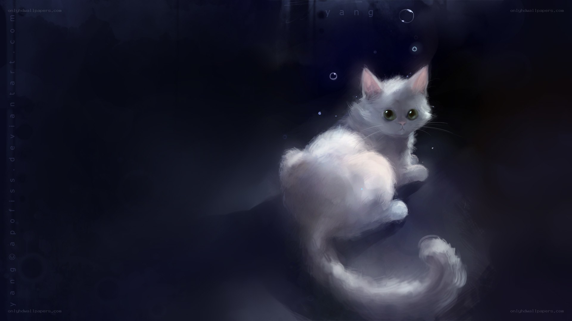 white cat in dark water