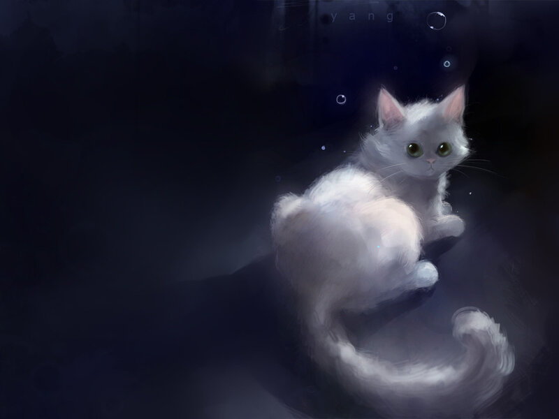 White Cat in Dark Water — Serene, Night