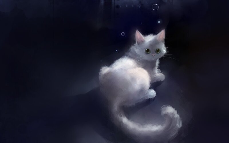 White Cat in Dark Water — Serene