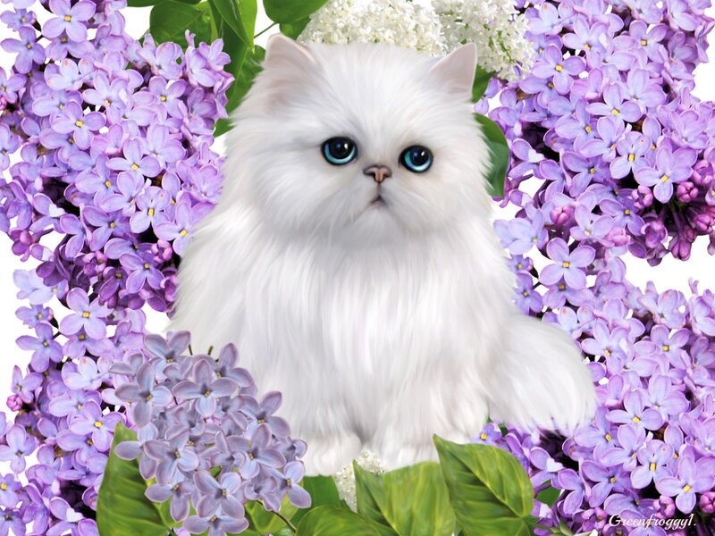 White Cat in Flowers — Purple, Serene, Digital Art