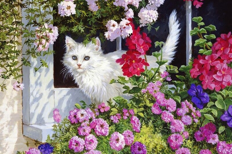 White Cat in Flowers — Serene, Afternoon