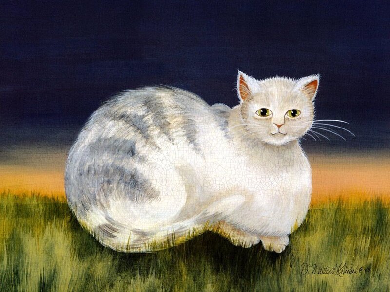 White Cat in Grass — Green