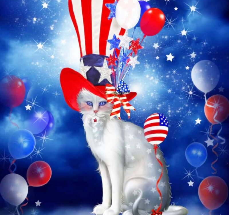 White Cat in Hat — Blue