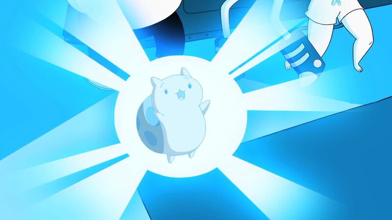 White Cat in Light