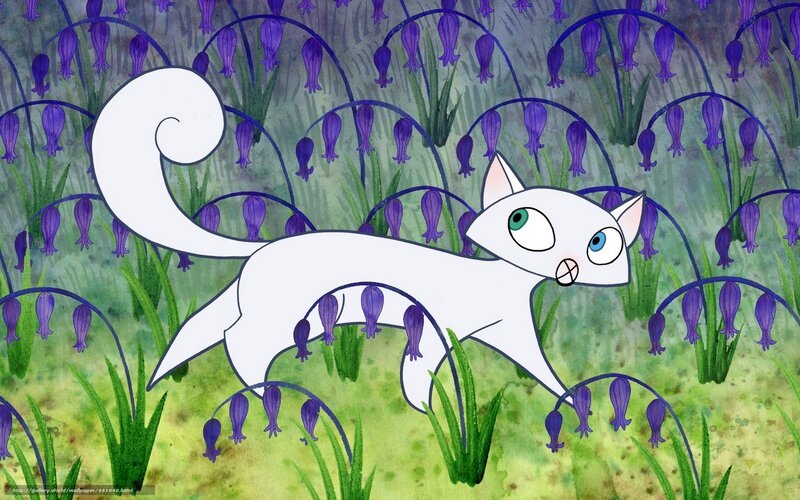 white cat in purple flowers