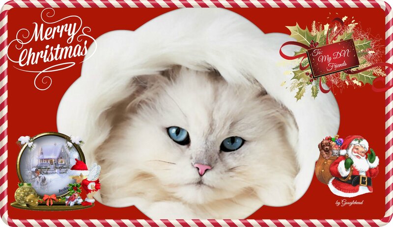 White Cat in Santa Hat — Red, Festive, Winter, Digital Art
