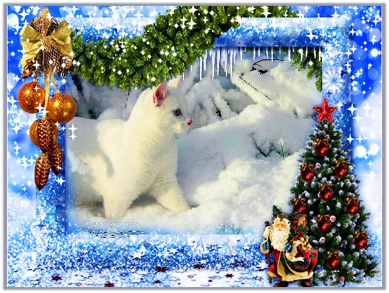 White Cat in Snow — Blue, Festive