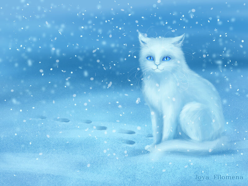 White Cat in Snow — Blue, Serene