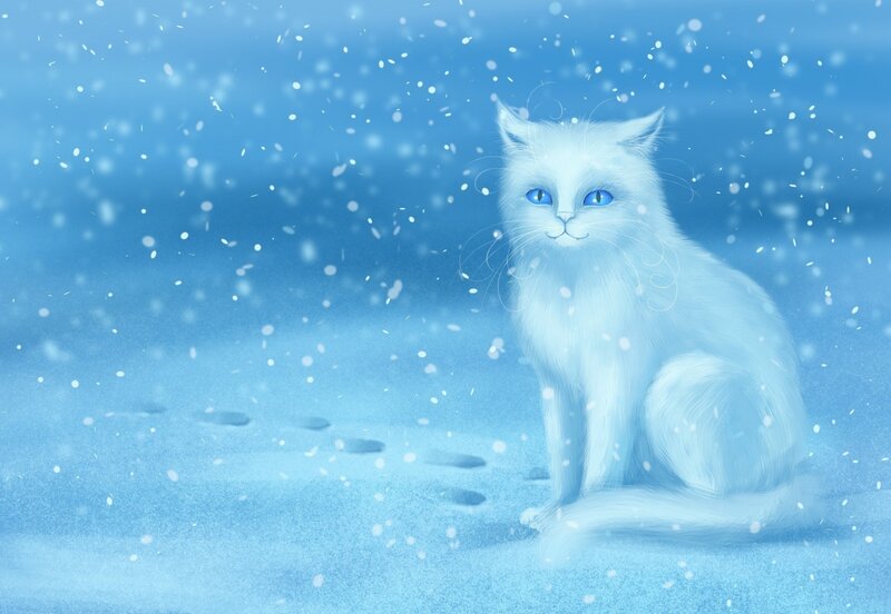 White Cat in Snow — Blue, Serene, Winter