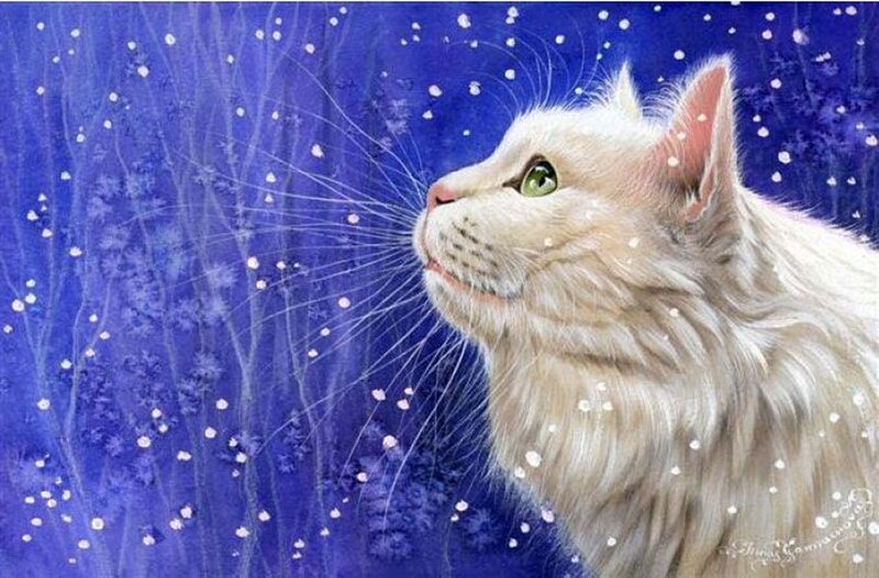 White Cat in Snow — Blue