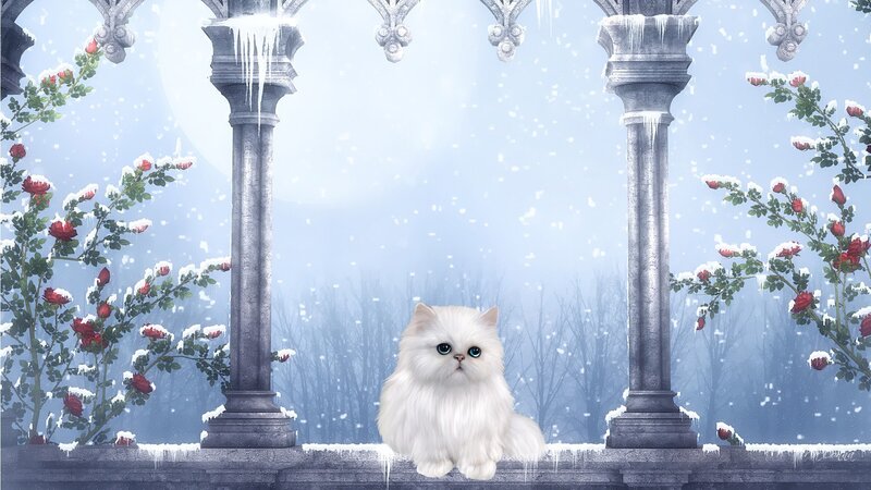 White Cat in Snow — Serene