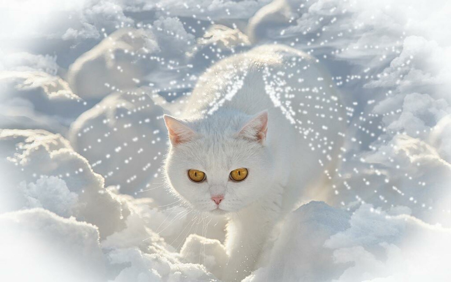 white cat in snowy landscape