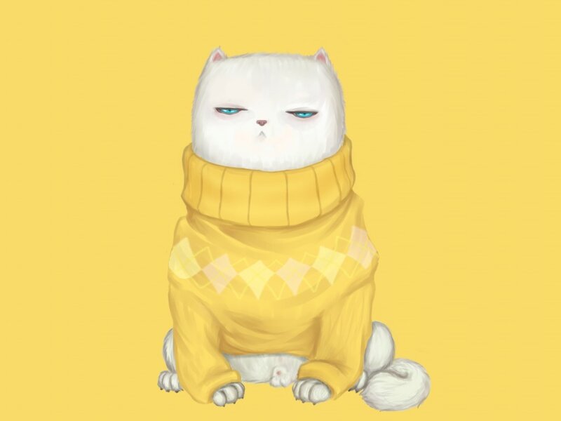 White Cat in Sweater