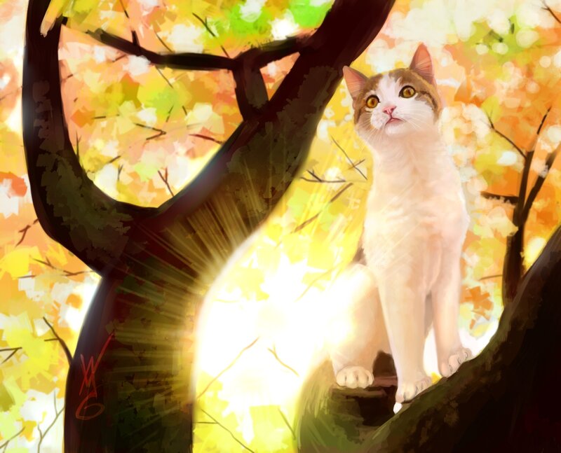 White Cat in Tree — Yellow