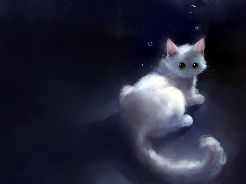 White Cat in Water
