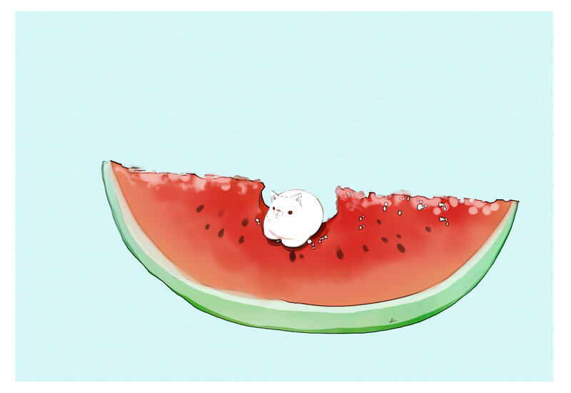 White Cat in Watermelon