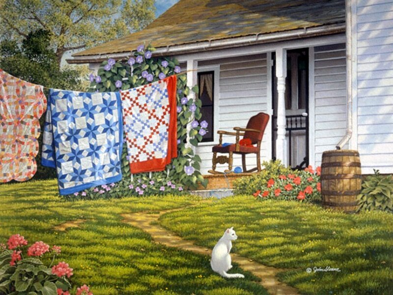 White Cat in Yard