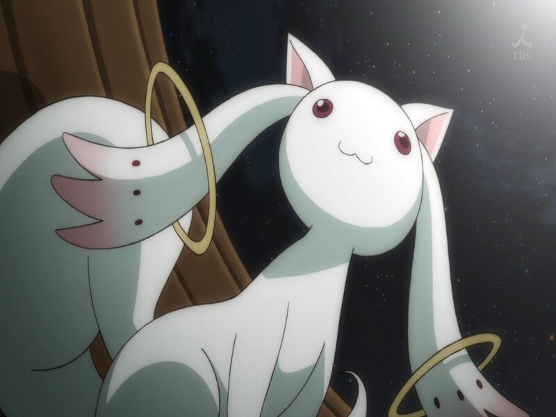 White Cat-like Creature — Serene