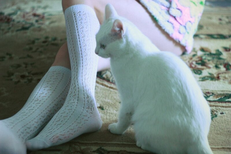 white cat near feet on rug