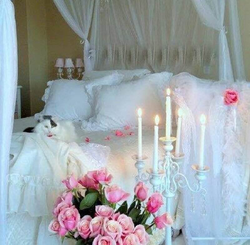 White Cat on Bed — Romantic