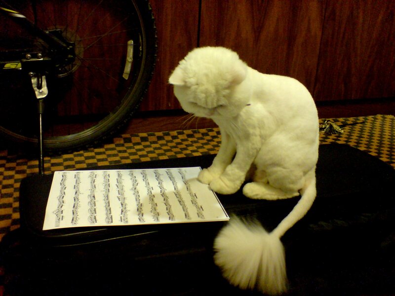 White Cat on Music Stand