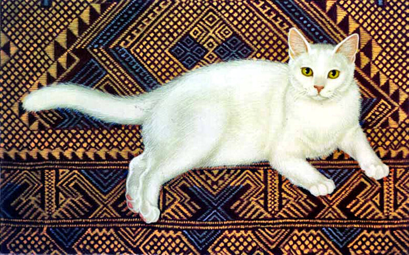 White Cat on Patterned Rug
