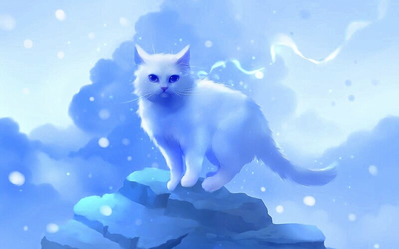 White Cat on Rock — Blue, Serene