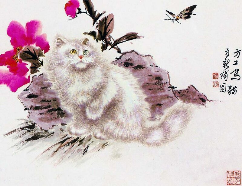 White Cat on Rock — Serene