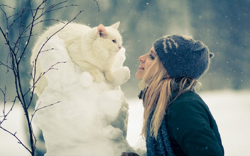 White Cat on Snowman