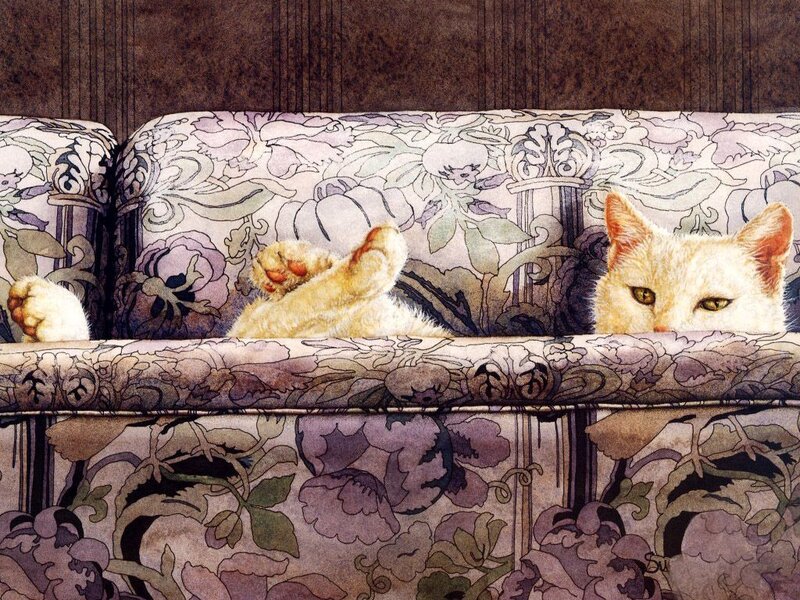 White Cat on Sofa