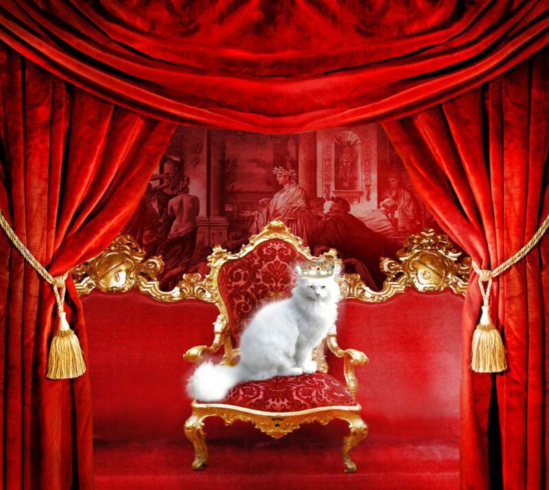 White Cat on Throne — Red, Regal