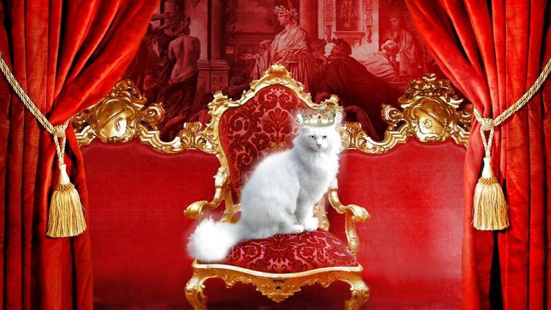White Cat on Throne — Red